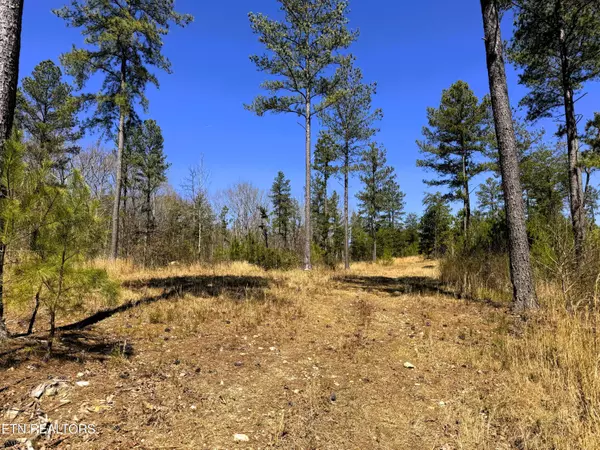 Sweetwater, TN 37874,371 County Road 357