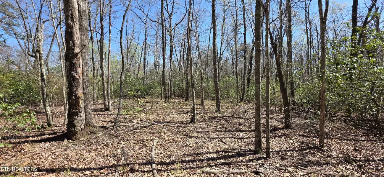 Point PL, Monterey, TN 38574