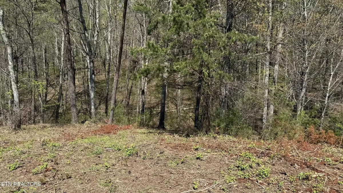 Bean Station, TN 37708,475 Bayside Blvd