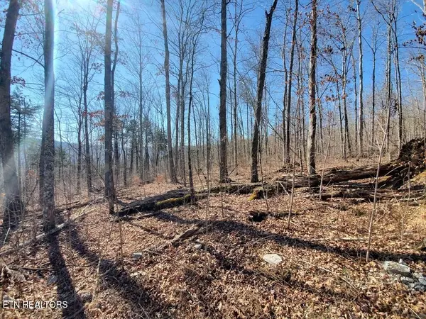 Jamestown, TN 38556,1A Junaluska DR