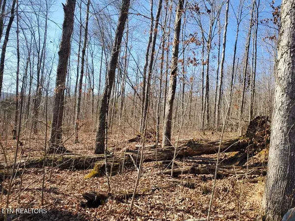 Jamestown, TN 38556,1A Junaluska DR