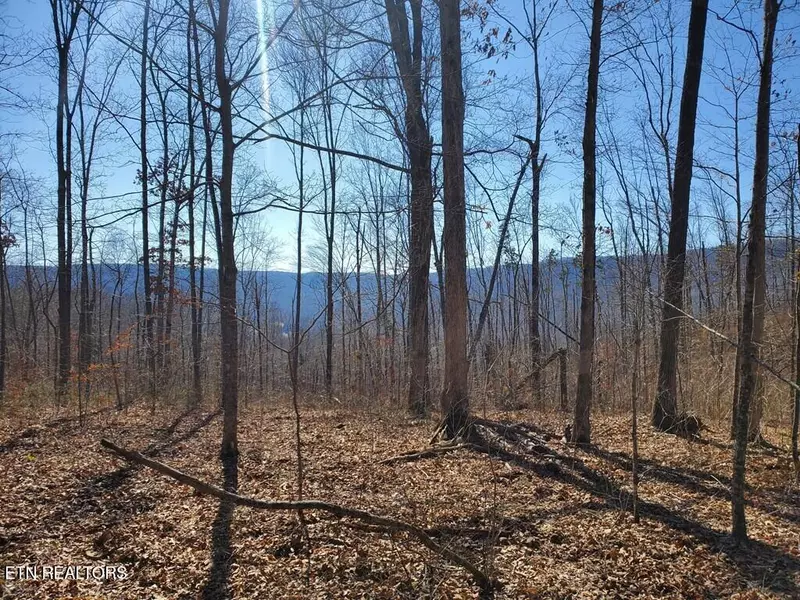 1A Junaluska DR, Jamestown, TN 38556