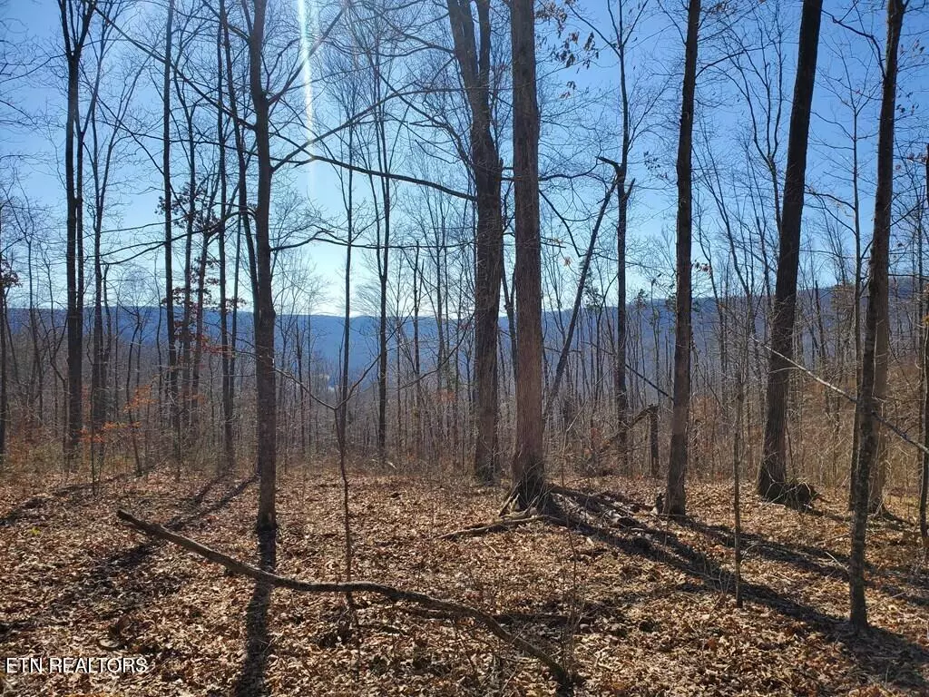 Jamestown, TN 38556,1A Junaluska DR