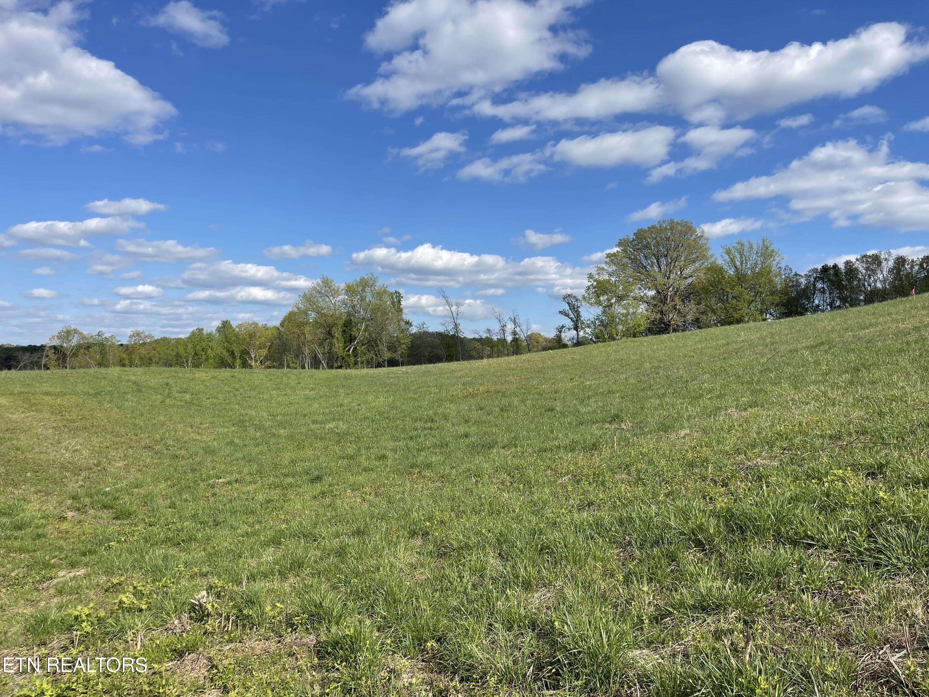 Strawberry Plains, TN 37871,Lot 3 Laura Boling Loop Rd