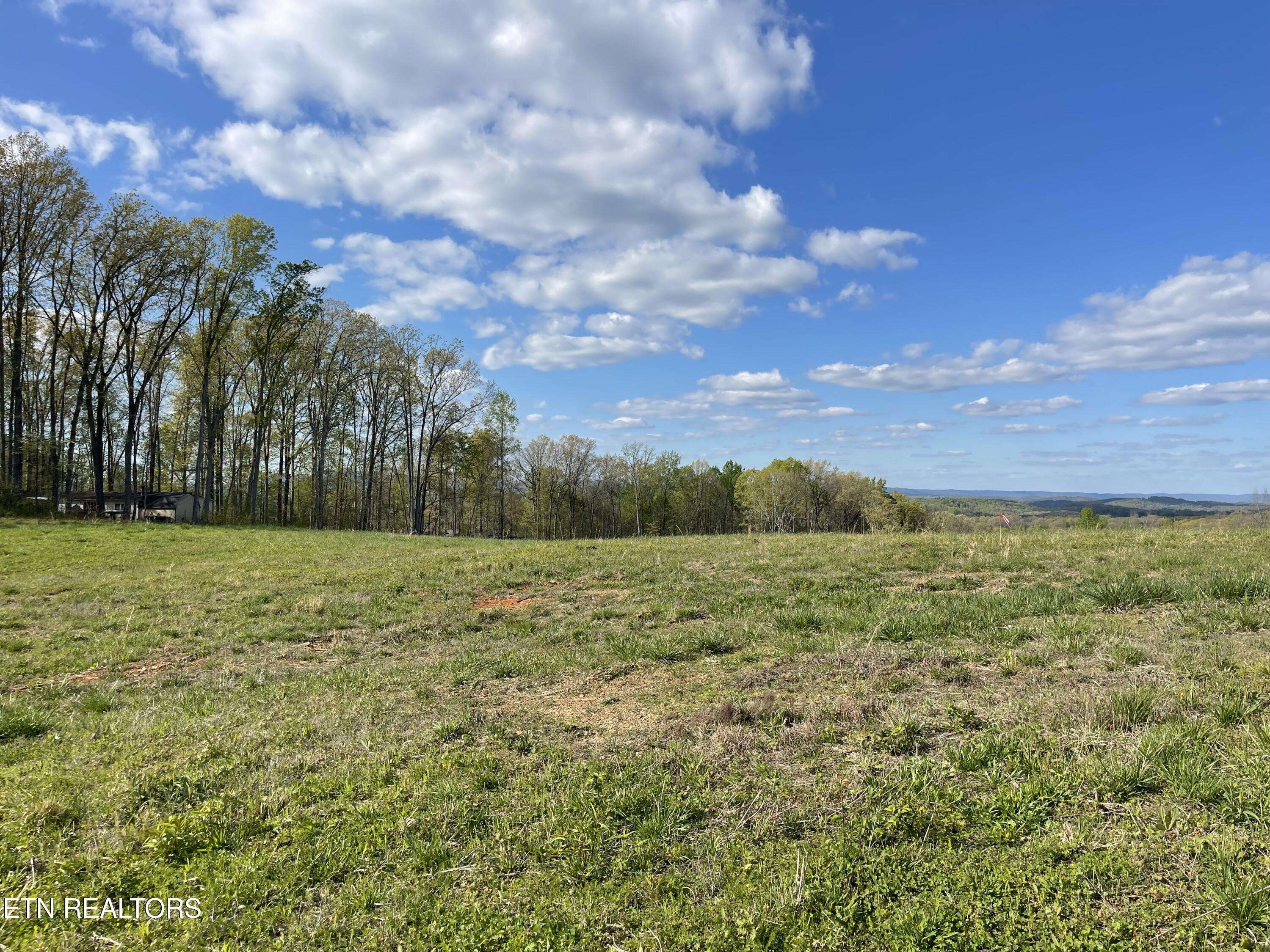 Strawberry Plains, TN 37871,Lot 8 Laura Boling Loop Rd