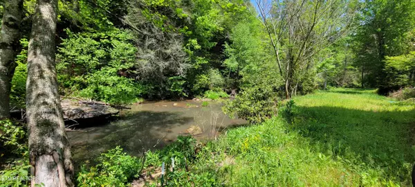 Oneida, TN 37841,5625, 5637 Grave Hill Rd Rd