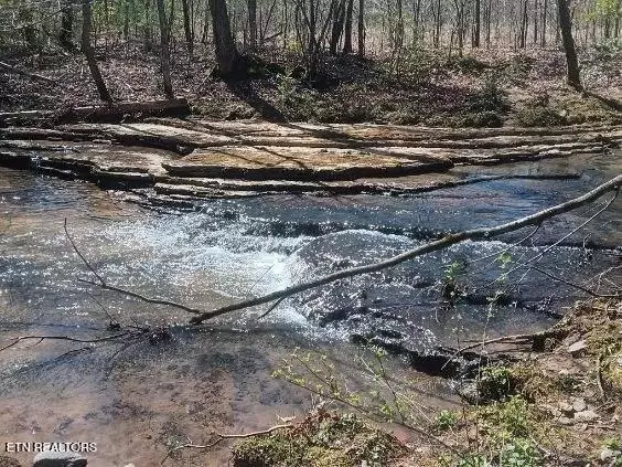 Oakdale, TN 37829,255 & 329 Copperhead Rd