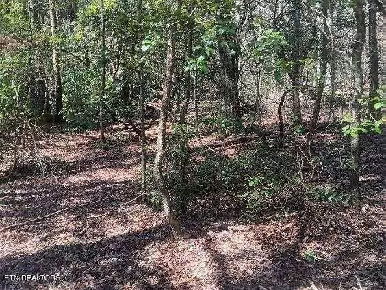 Oakdale, TN 37829,255 & 329 Copperhead Rd