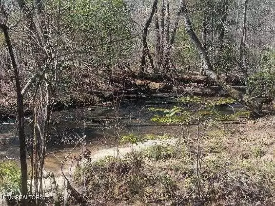 Oakdale, TN 37829,255 & 329 Copperhead Rd