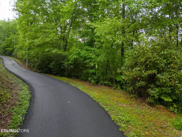 Gatlinburg, TN 37738,Black Gum Gap Rd