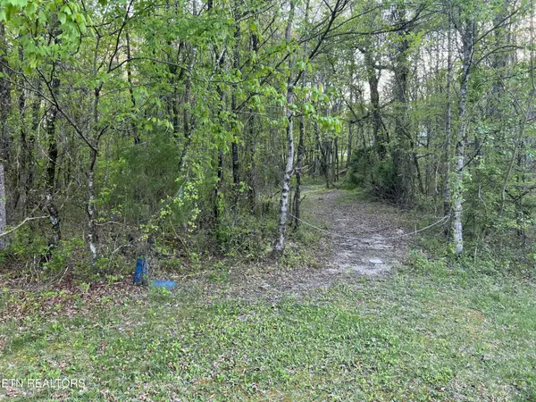 Rockwood, TN 37854,246 Burke Mill Rd