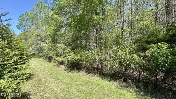 Harriman, TN 37748,Lot 32 Indigo Bunting DR
