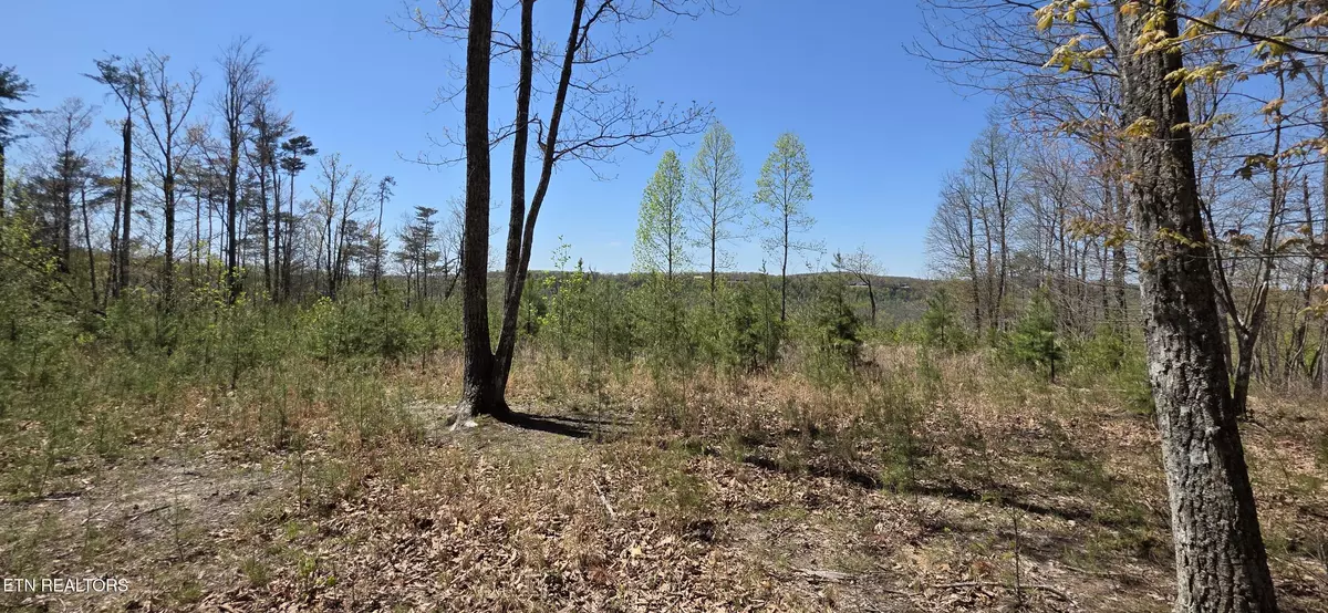 Monterey, TN 38574,5 Tanner DR