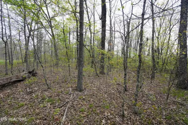 Pikeville, TN 37367,Lot 46, 47 Gray Rock VW