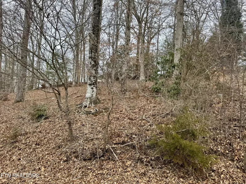Madison CIR, Harrogate, TN 37752