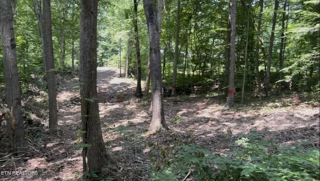 215 Redwood DR, Dandridge, TN 37725