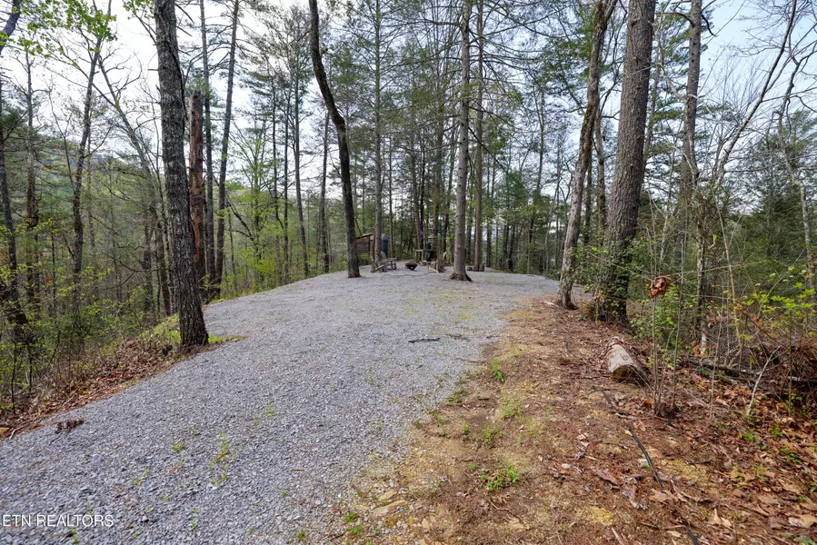 1011 Carrs Creek Rd, Townsend, TN 37882