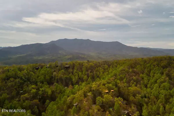 Sevierville, TN 37876,2415 School House Gap Rd