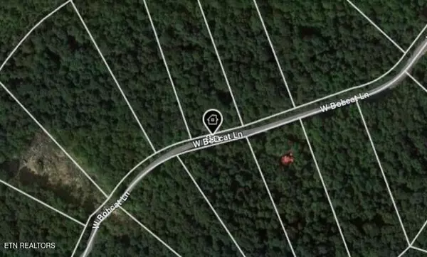 Wilder, TN 38589,W Bobcat LN