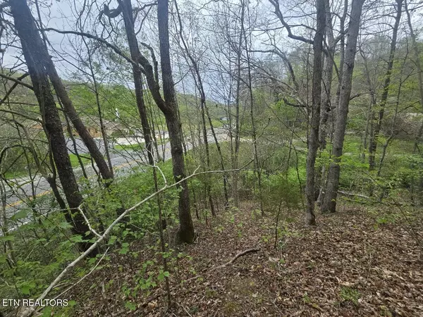 Oneida, TN 37841,Paint Rock Rd