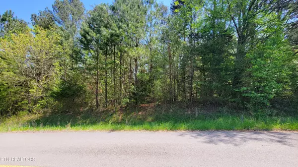 Parrottsville, TN 37843,120 Point Oak DR