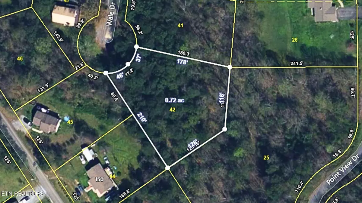 Parrottsville, TN 37843,144 Wale DR