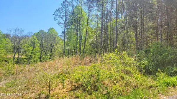 Parrottsville, TN 37843,144 Wale DR