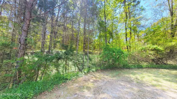 Parrottsville, TN 37843,144 Wale DR