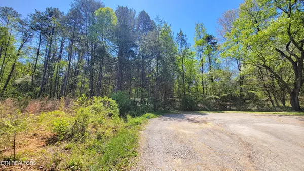 Parrottsville, TN 37843,144 Wale DR