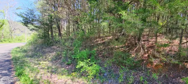 Parrottsville, TN 37843,110 West DR