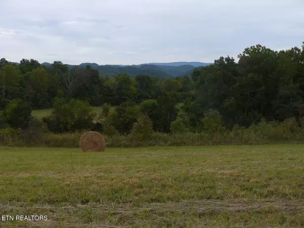 Tazewell, TN 37879,132 Acres Leabow Hollow Rd