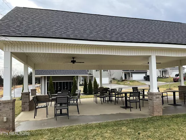 Corryton, TN 37721,8047 Tree Line LN