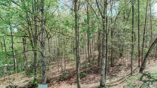 Newport, TN 37821,1776 Bullard Dr