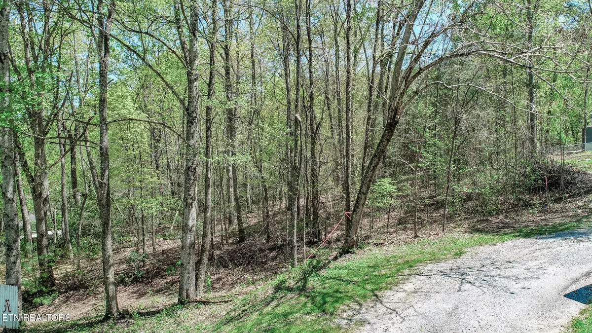 Newport, TN 37821,1776 Bullard Dr