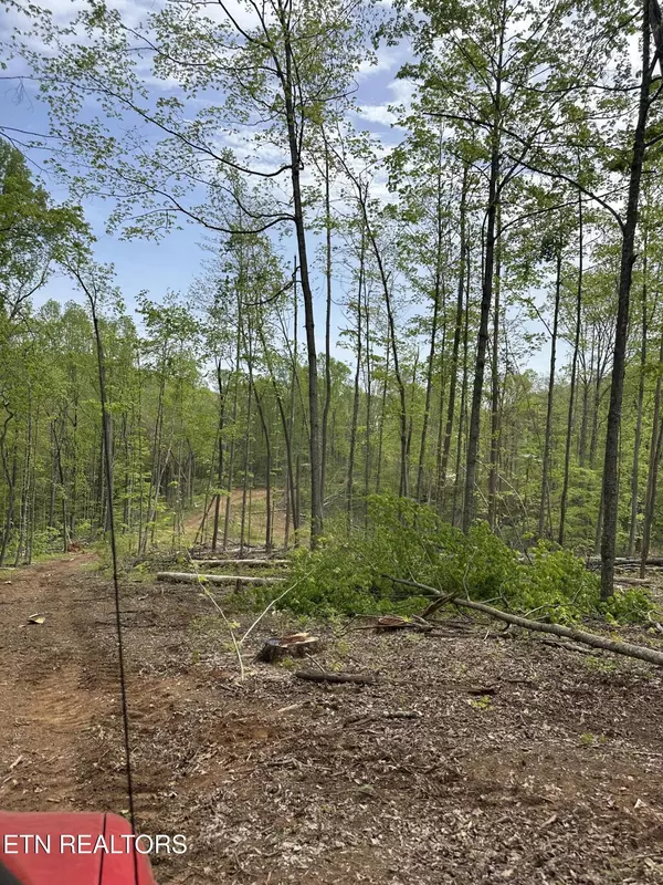 Rocky Top, TN 37769,Easterly CIR