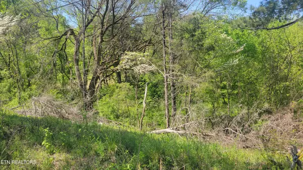 Parrottsville, TN 37843,125 Point Oak DR