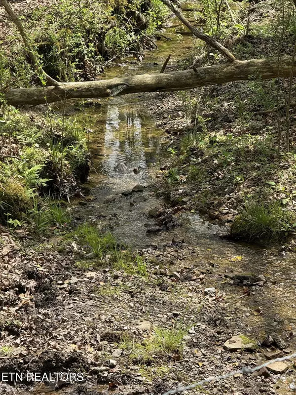 Rockwood, TN 37854,141 Hidden Acres