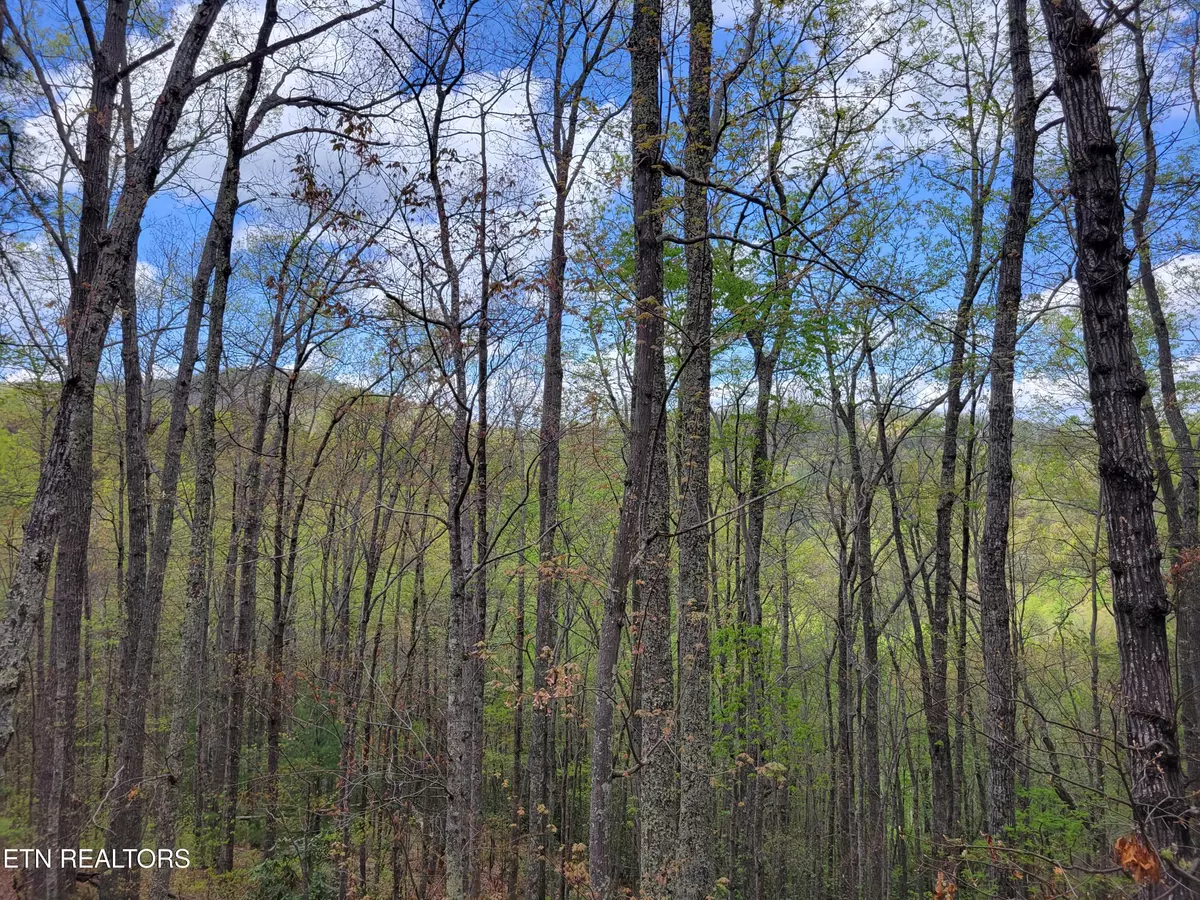 Sevierville, TN 37876,Lot 2 Sunset DR
