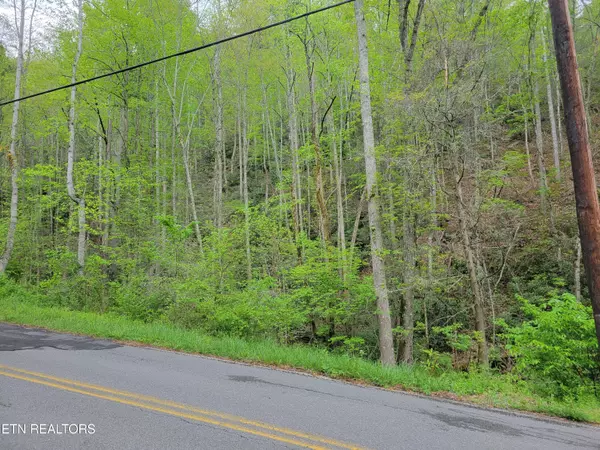 Sevierville, TN 37876,Lot 45 Alpine DR