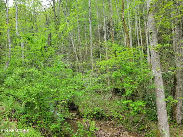 Sevierville, TN 37876,Lot 45 Alpine DR
