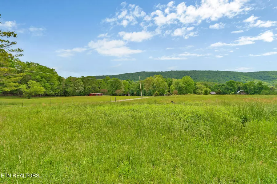 Marble LN, Rockwood, TN 37854
