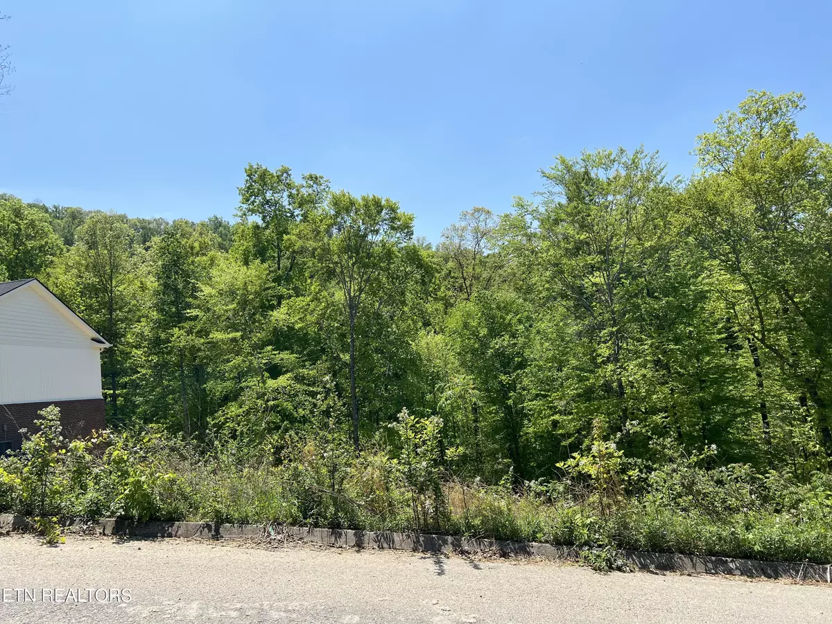 Maynardville, TN 37807,330 Timber Creek Rd