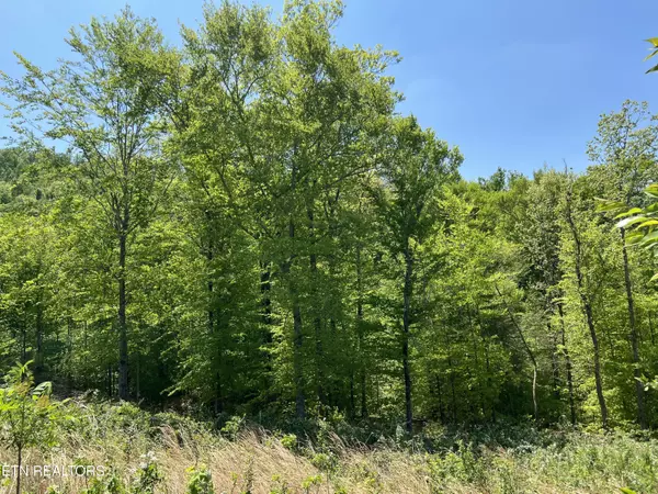 Maynardville, TN 37807,Lot 32 Timber Creek Rd