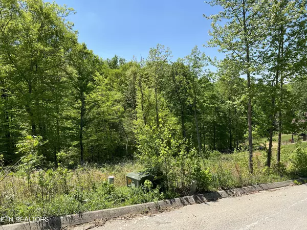Maynardville, TN 37807,Lot 32 Timber Creek Rd