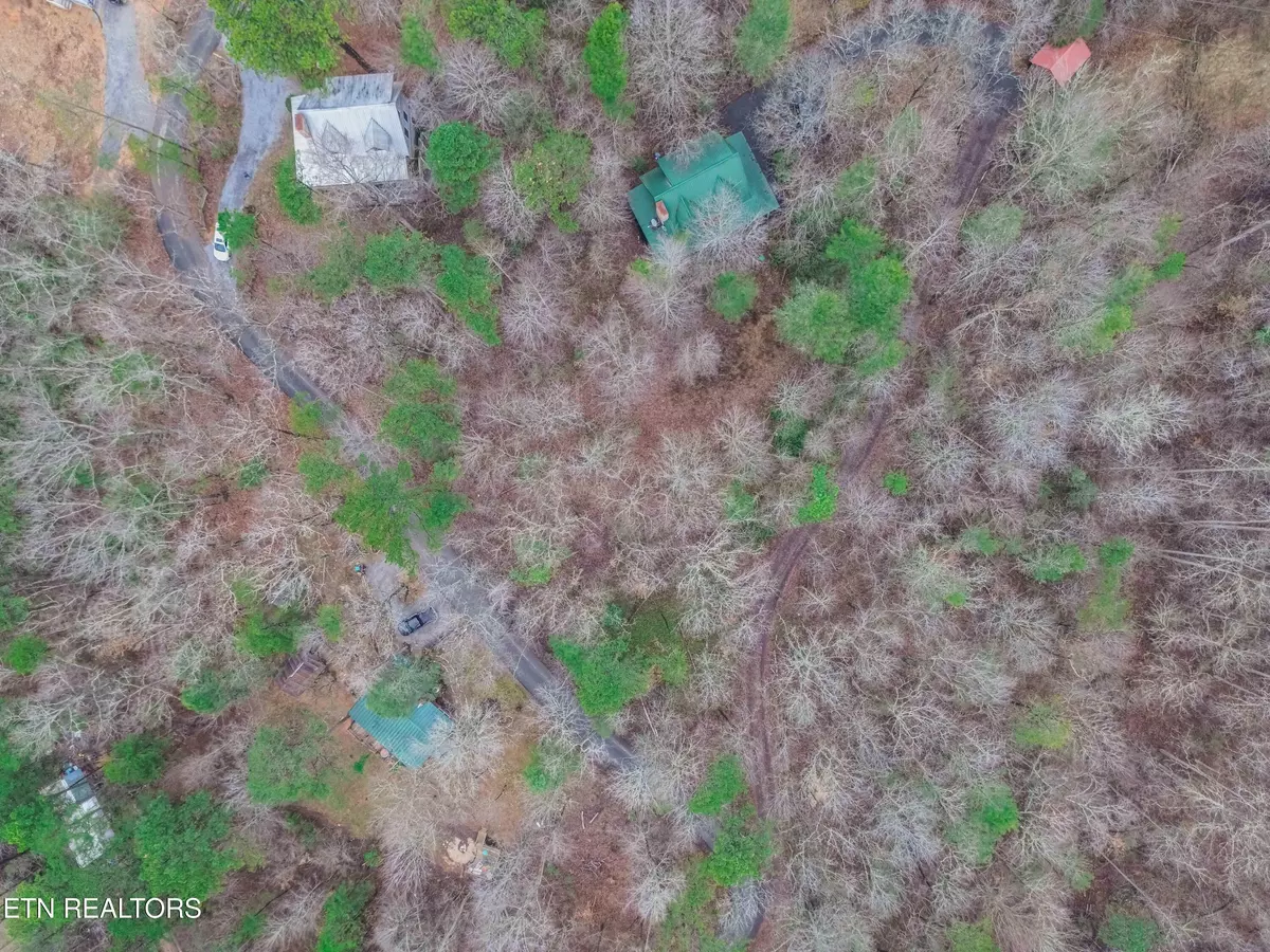 Sevierville, TN 37876,0 Grassy Branch Rd