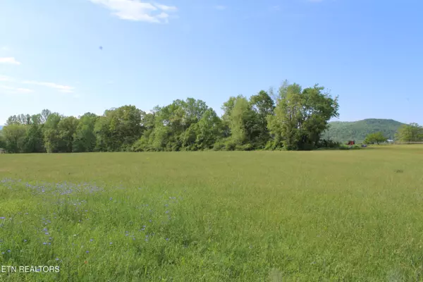 Pall Mall, TN 38577,N York Hwy