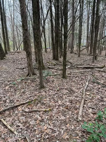 000 Stephanie LN, Athens, TN 37303