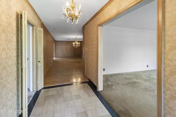 Knoxville, TN 37919,1233 Cherokee Blvd