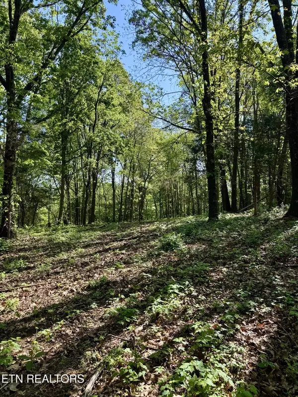 Morristown, TN 37813,Carroll Rd