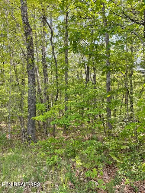 Crossville, TN 38558,258 Westchester DR